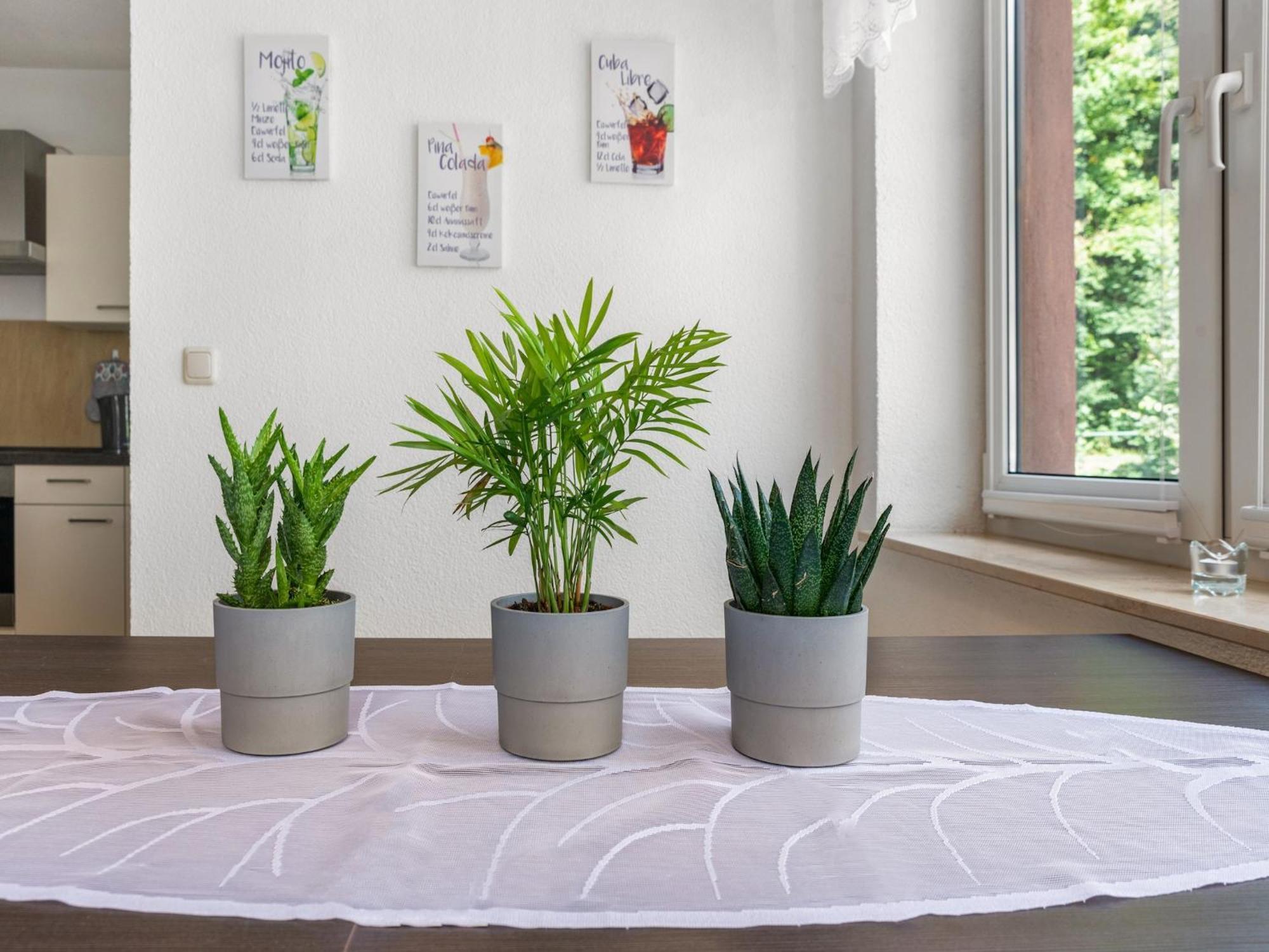 Modern Apartment In Sebnitz With A Terrace In Sebnitz Luaran gambar